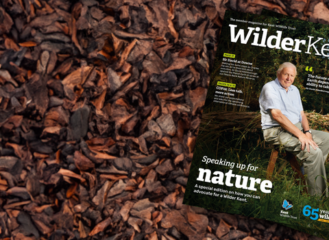 Members magazine with David Attenborough on the front cover