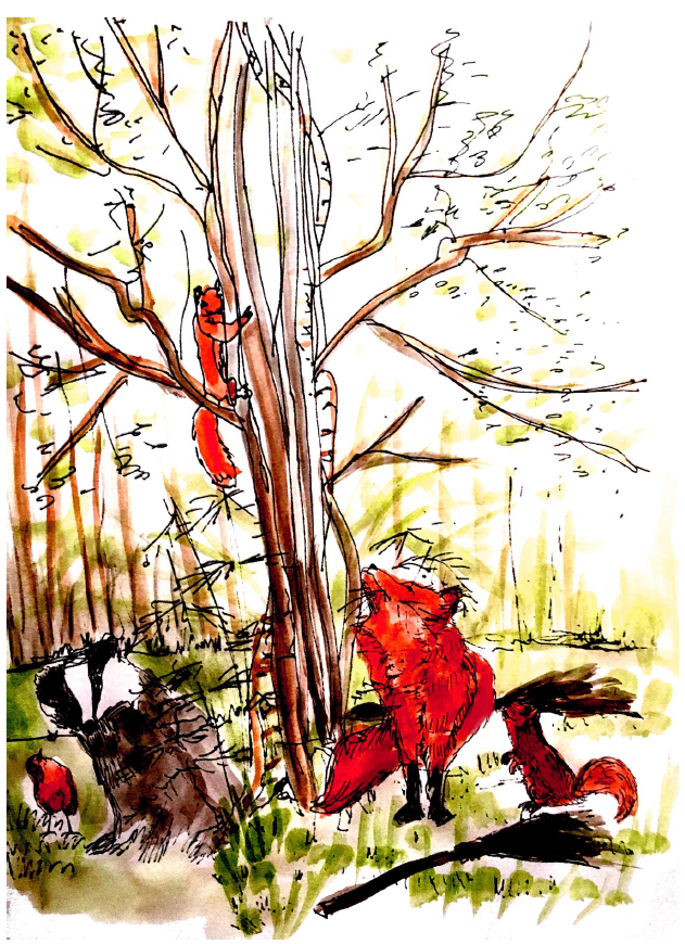 The rowan and the birch illustration” style=