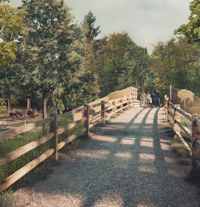 Bison bridge