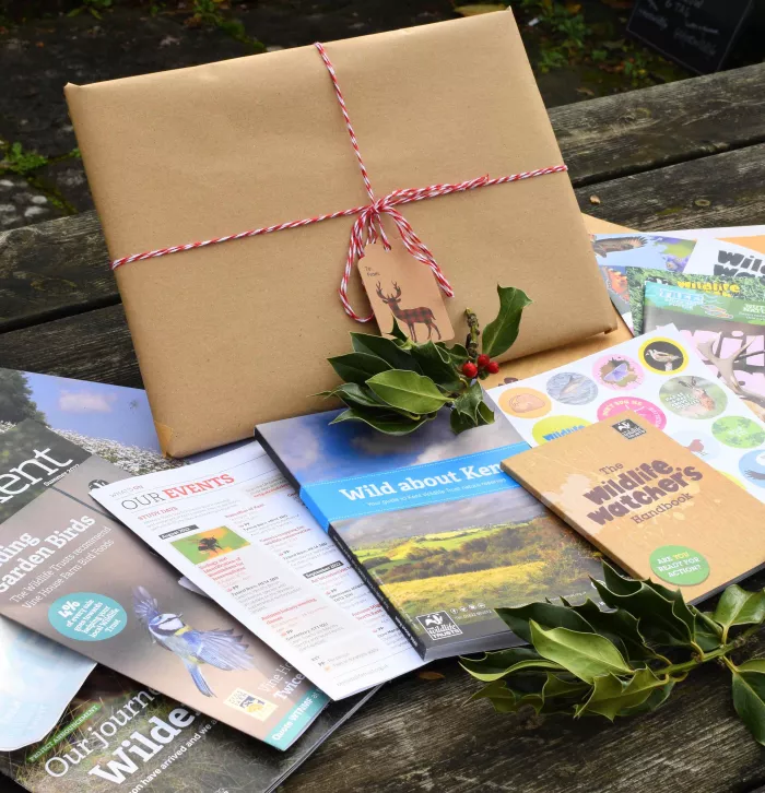 Gift wrapped membership pack