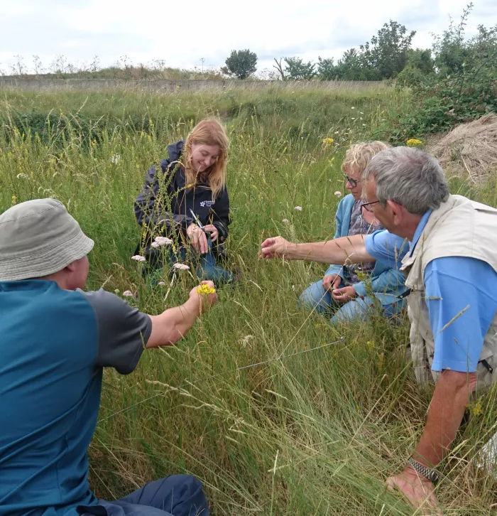 Bee Road volunteering carrying out plant monitoring at Marine Parade Bee Road