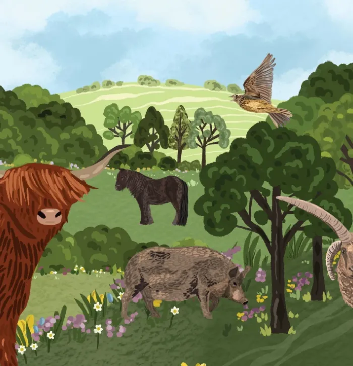 An illustration of several grazing animals in Kent's landscapes.