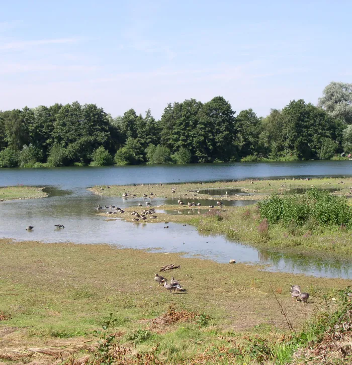 Sevenoaks Wildlife Reserve 