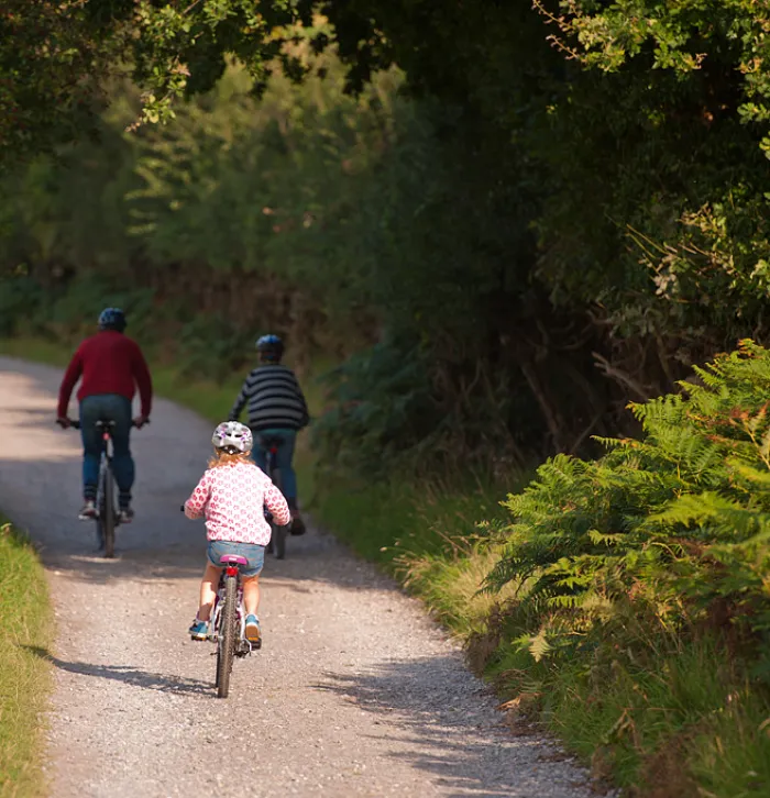 Family cycling outdoors