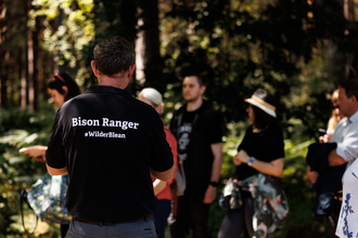 Bison Ranger at bison festival