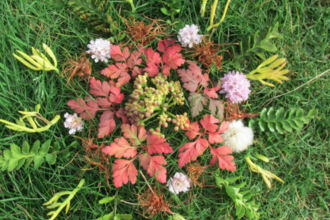 Pink and green foliage arranged on grass in a mandala pattern