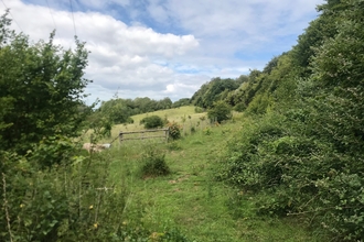 Quilters wood view looking out at the grassland