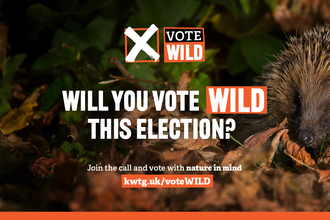 KWT VoteWILD election Facebook banner