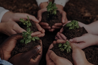 A group of hands together holding seedling plants