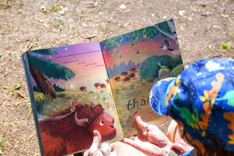 bison and butterfly book reading