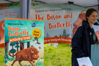 A sign promoting the Bison and Butterfly activity trail at the Wilder Blean festival