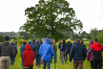 A large group of people in raincoats standing in a field in front of a tree.