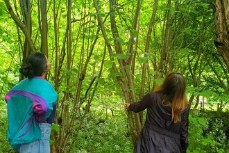 Two people stood among trees, looking to the canopy