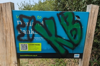 Graffiti at Oare