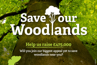 Save our woodlands social media post 2