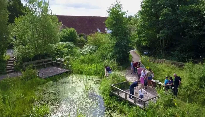 Pond dipping at Tyland Barn