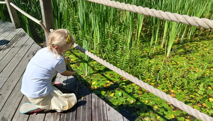 Holiday Club Tyland Barn pond dipping