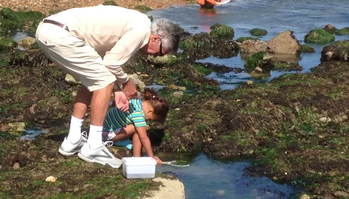 Father and child rock pooling together by Pat Storey