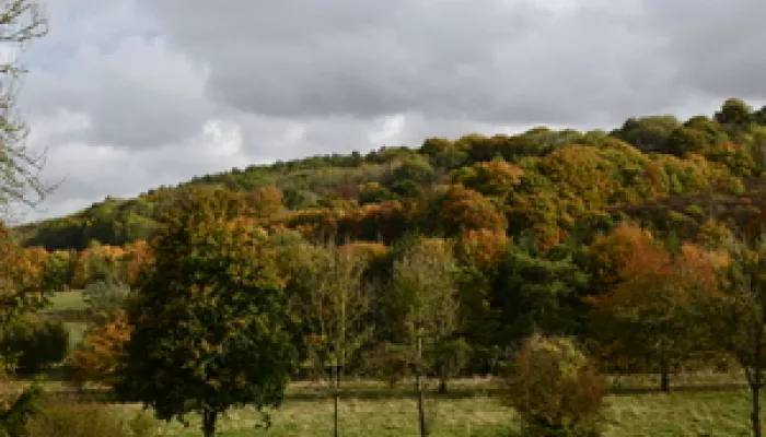 Abandoned golf course Darenth valley - GrowUp Farms