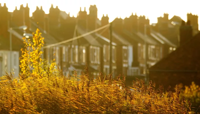 Housing and a reed bed in the sun by Ben Hall/2020VISION