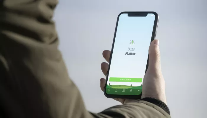 Bugs Matter app open on a phone being held in someones hand