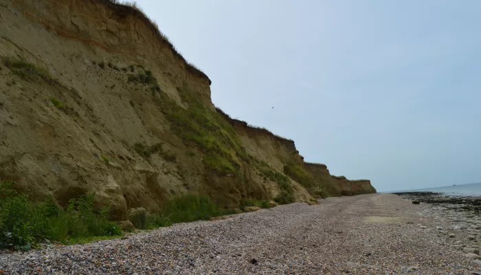 Shingle beach at Reculver