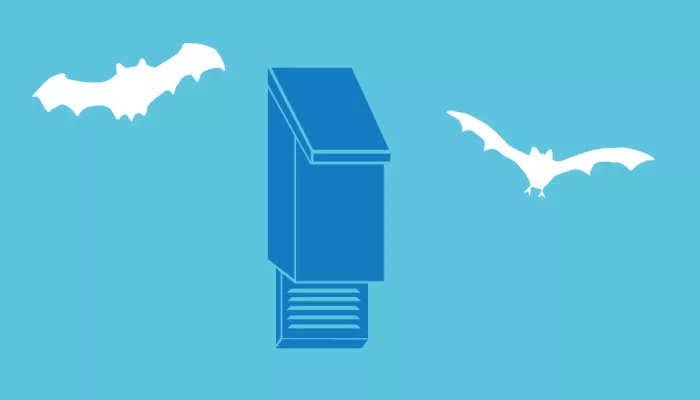 Bat box illustration with bats flying around it