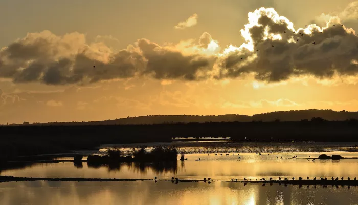 A golden sunset over Oare Marshes, the sun reflecting on the water.