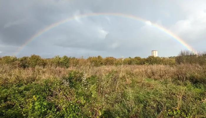 A rainbow in a grey sky over a field.