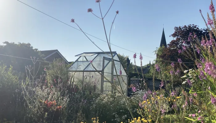 A garden on a sunny day, with wildflowers against the blue sky, and a greenhouse in the back.