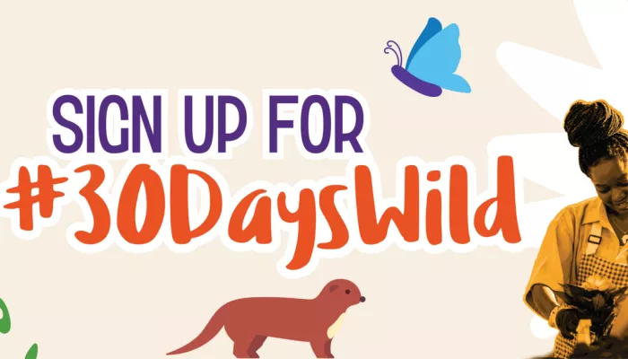 30 days wild 2024 header