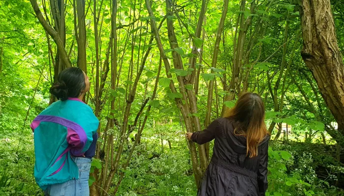 Two people stood among trees, looking to the canopy