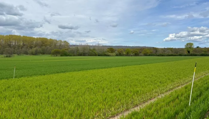 Nitrogen plots