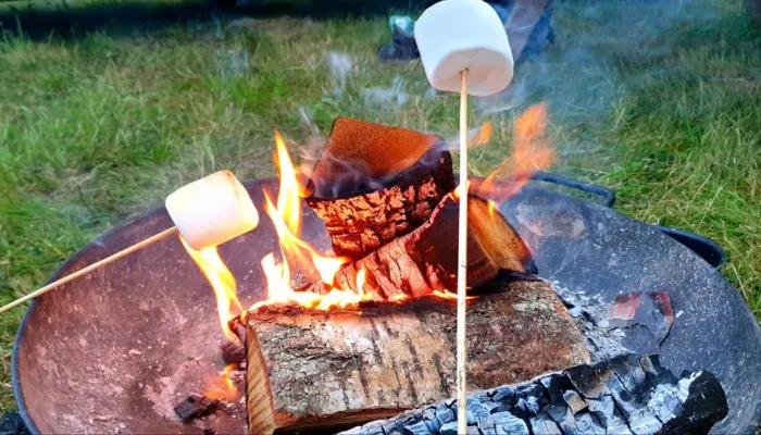 Campfire close up with someone toasting marshmellows over it