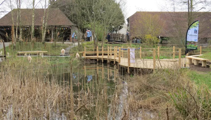 Tyland Barn Pond Dipping