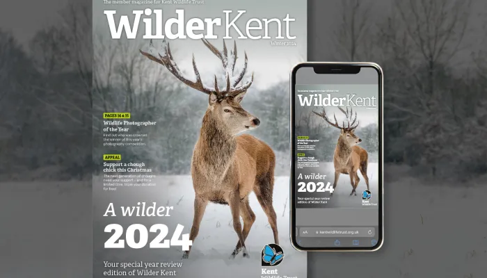 Winter mag digital mock up