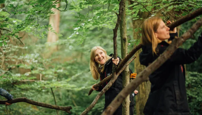 Two people in coats carrying branches through a woodland.