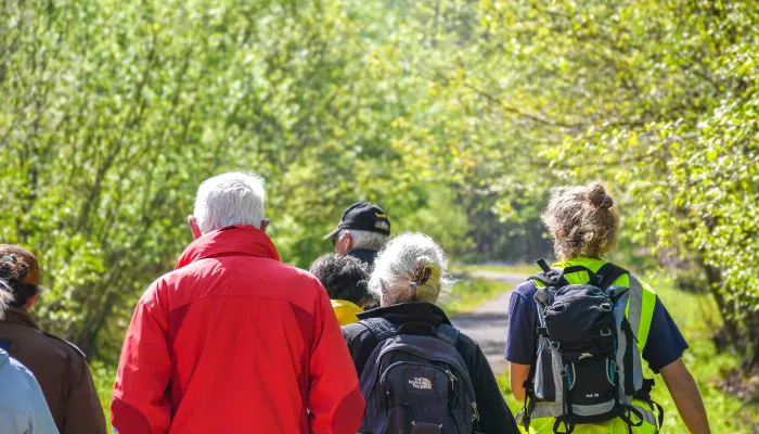 A group of people led by someone in a hi-vis vest, walking into woodland in spring