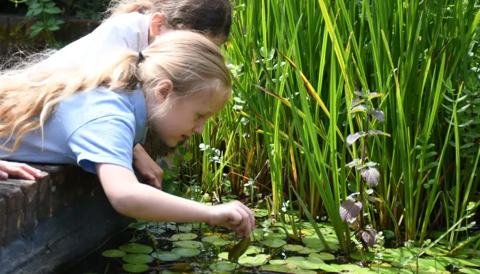 children looking in pond