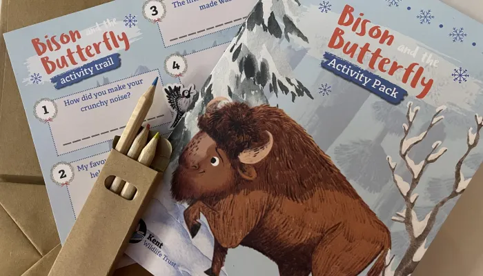 An answer card, puzzle booklet and pack of pencils, featuring Bison from 'the Bison and the Butterfly' book.