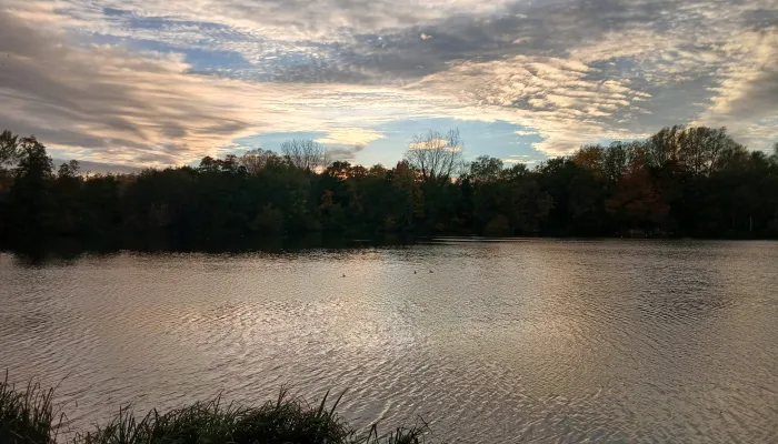 Aview over the lakes at Sevenoaks Wildlife Reserve, with a sunset.