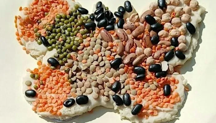 A butterfly shape made from salt dough, decorated with  mix of coloured seeds and beans