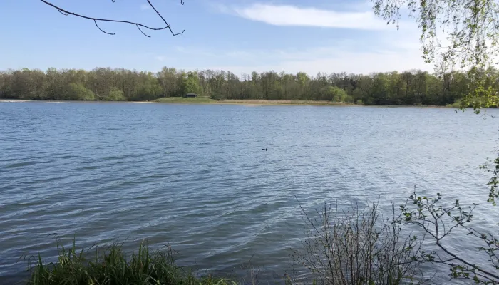 Spring leaves framing a lake at Sevenoaks Wildlife Reserve