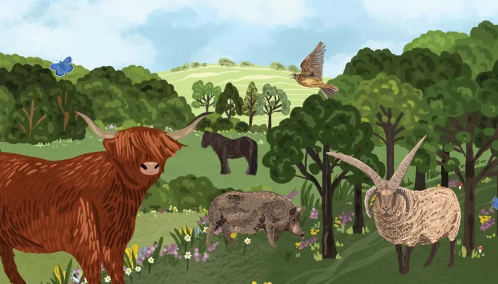 Illustration of our Amazing Grazing animals.