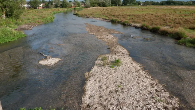 Freshwater habitat