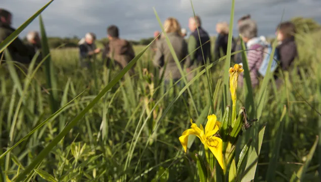 Adult learning outdoors, photo by Paul Harris/2020VISION