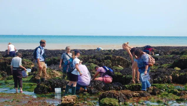 Rockpooling with Guardians of the Deep