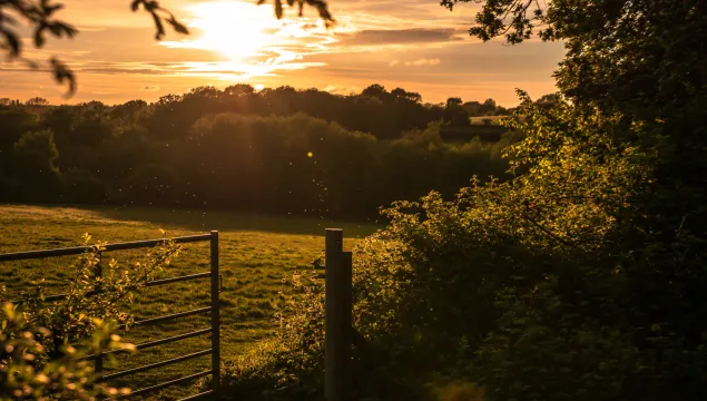 Sunset in Canterbury - Danni Thompson