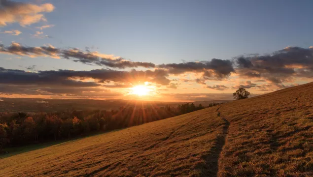 Kemsing, North Downs November Sunset - Ruth Winter