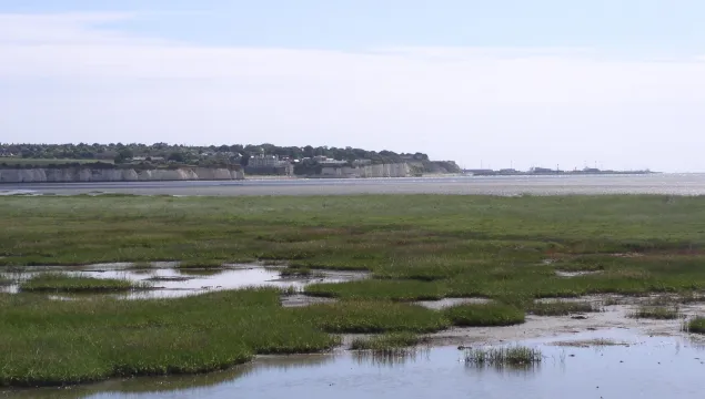 Sandwich & Pegwell Bay